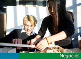 Negocios
